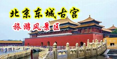 黄网几巴操逼中国北京-东城古宫旅游风景区